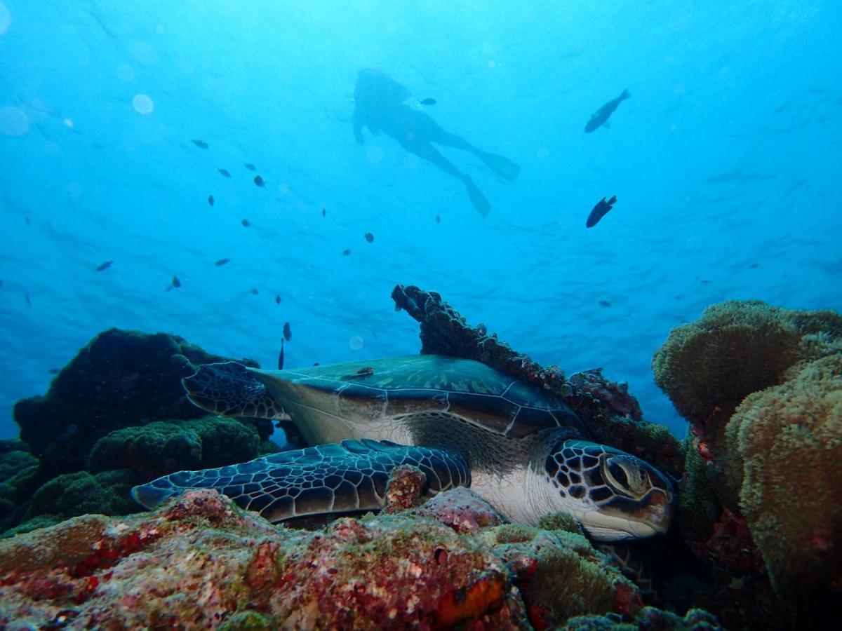 Manta Reserve Maalhos  Екстер'єр фото